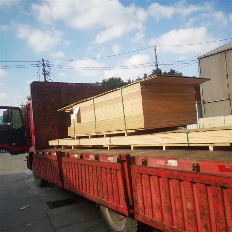 江西上饶余干县至塔城货运专线，一站式物流服务助您成功